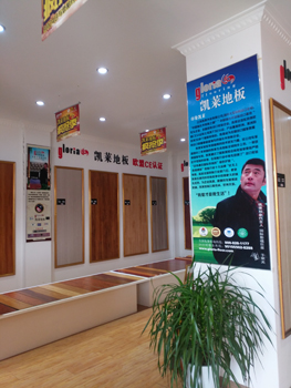射阳店