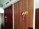 城固凯莱专卖店